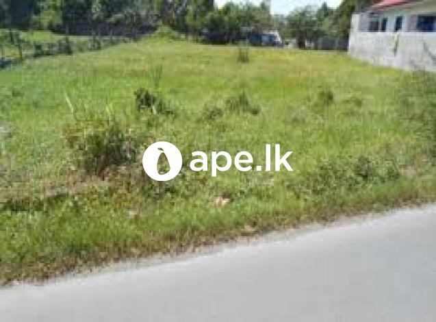  à·ƒà¶‚à·€à¶»à·Šà¶°à·’à¶­ à·€à¶§à·’à¶±à· à¶‰à¶©à¶¸ à·€à·’à¶šà·’à¶«à·“à¶¸à¶§